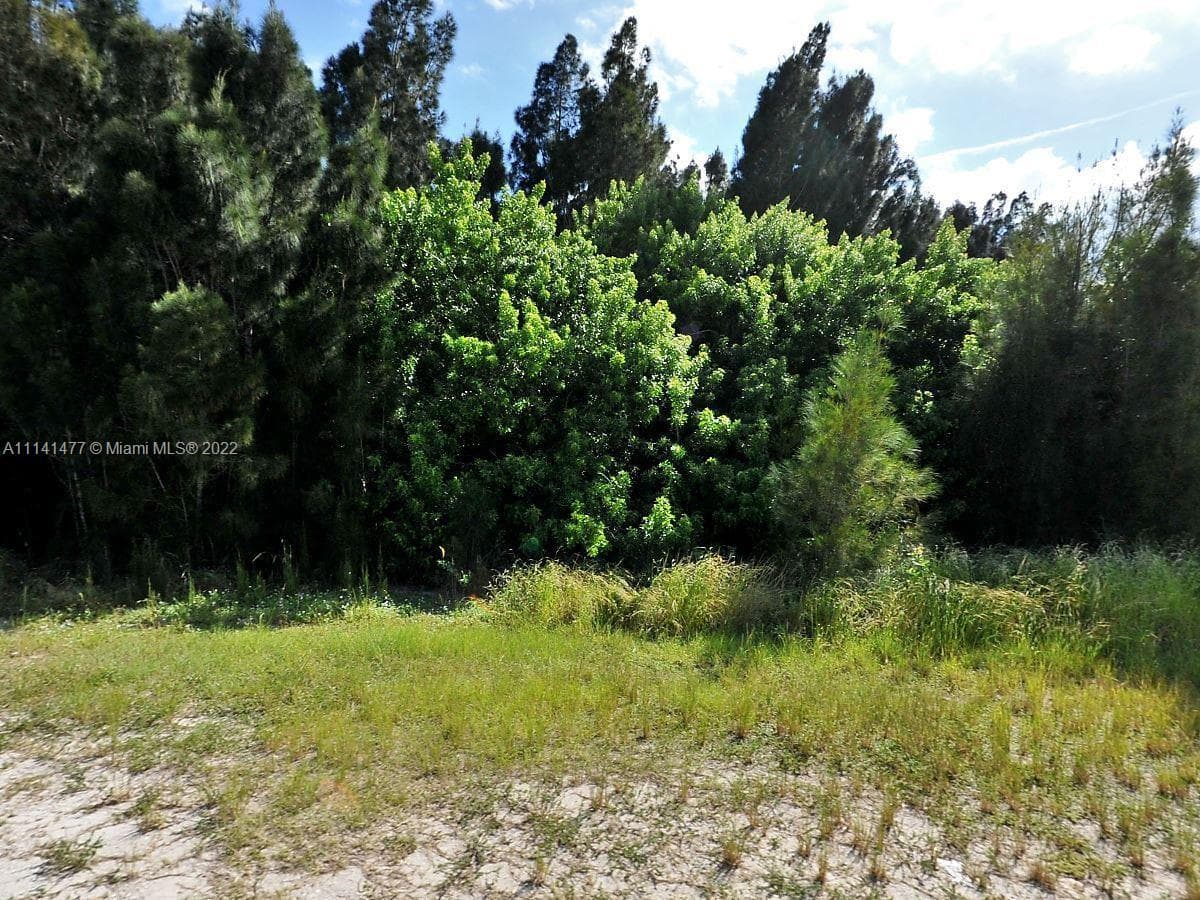 55 Savannah Rd