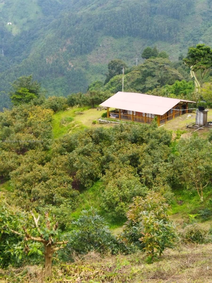 Armenia-Quindio