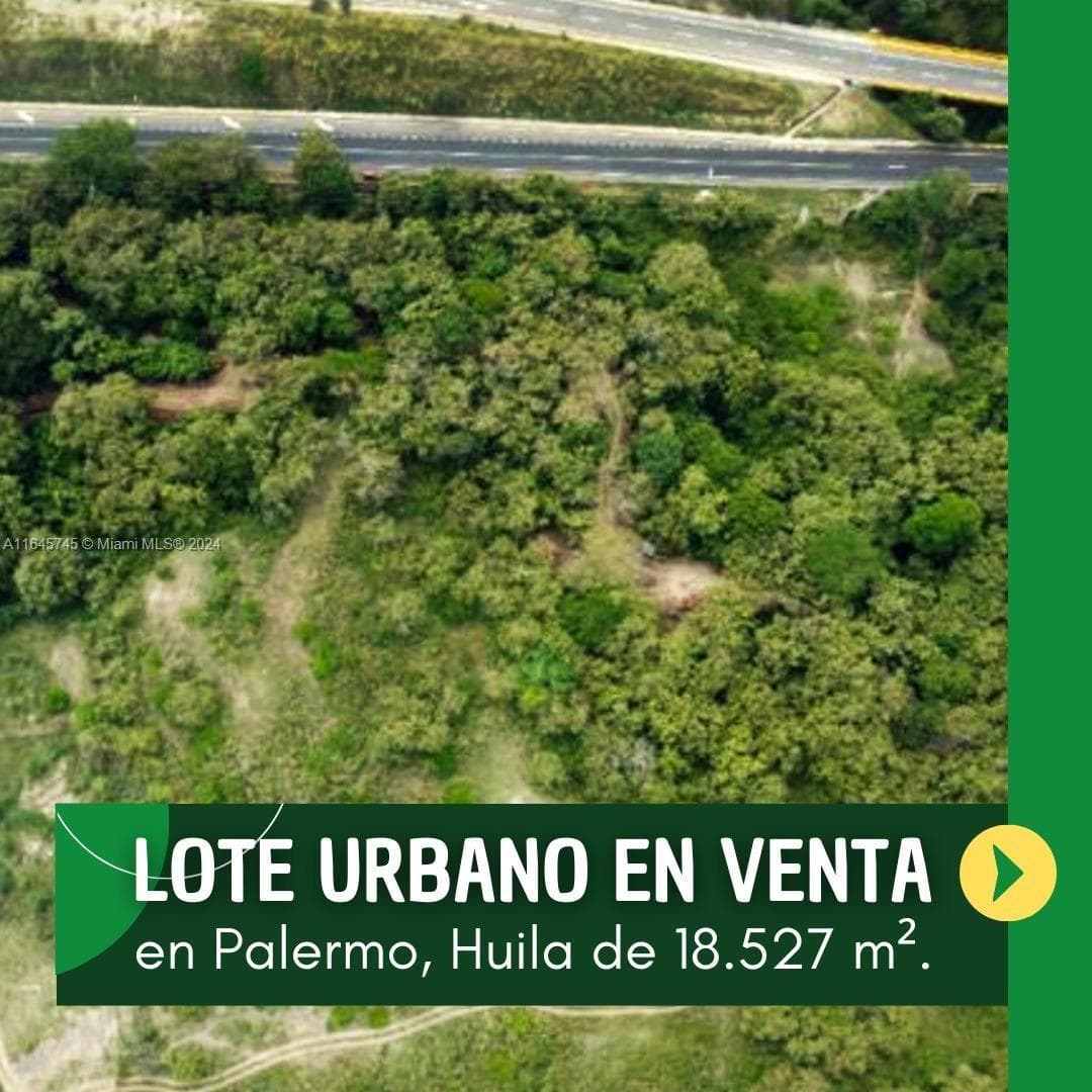 A11645745