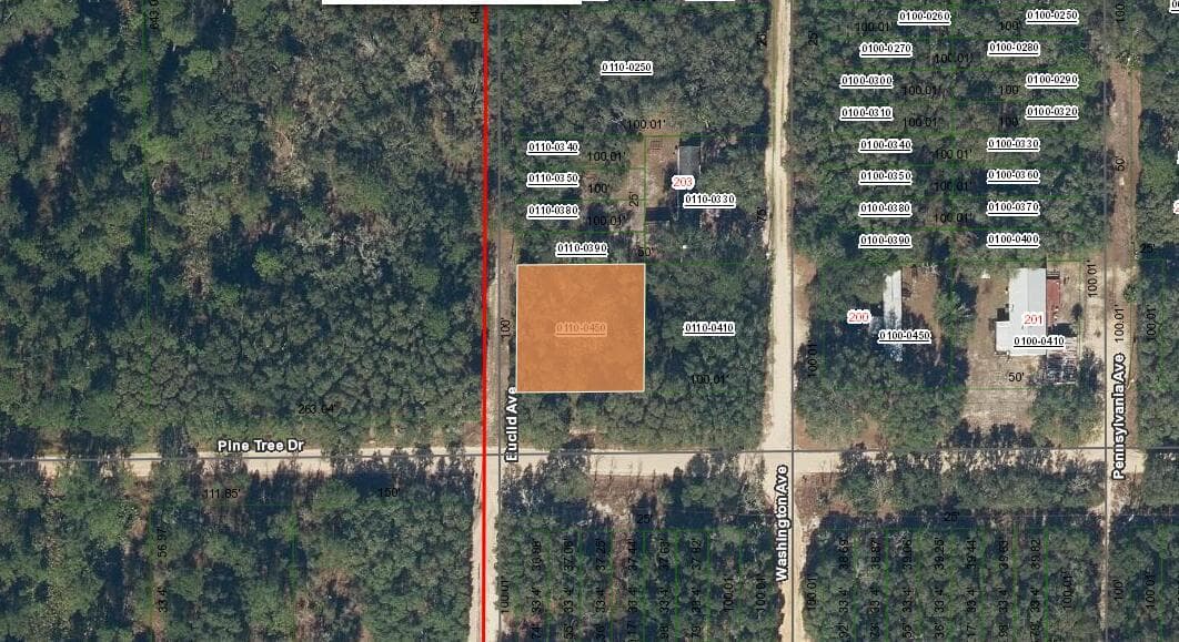 0000 Pine Tree Drive
