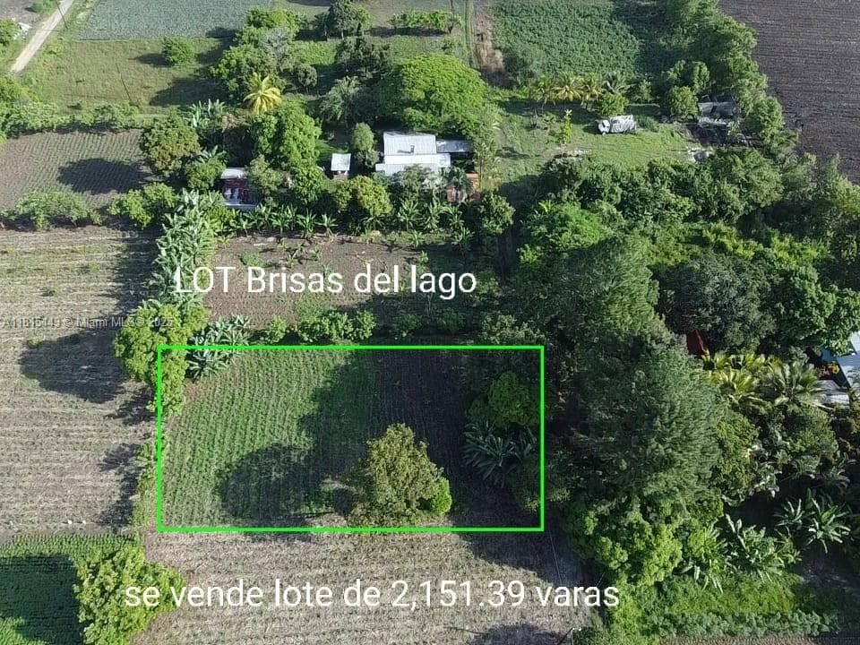 03 Lago de yojoa