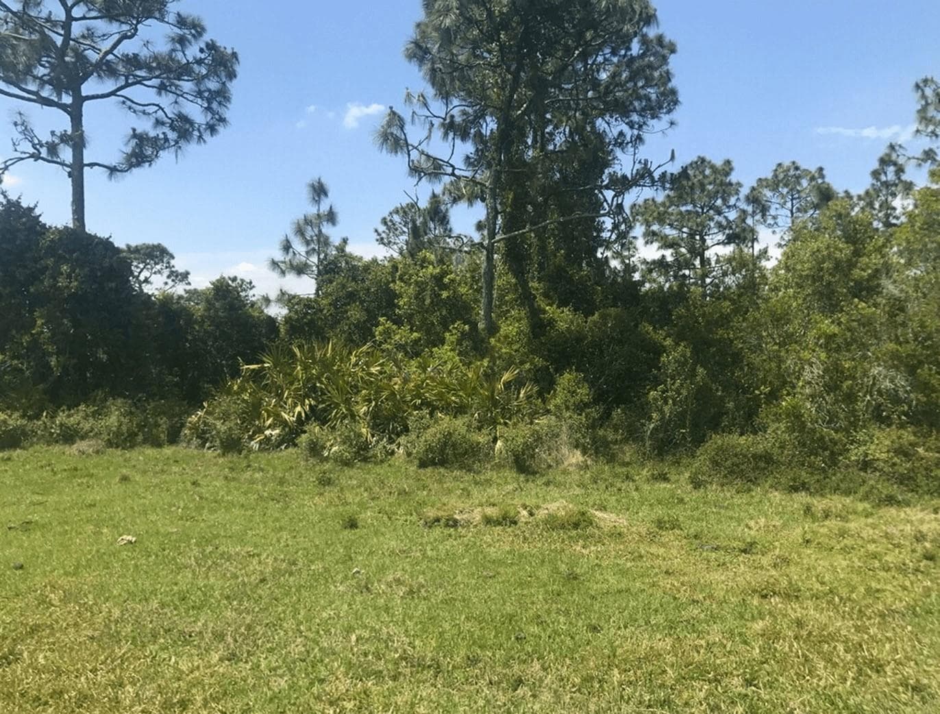 0 Holopaw Groves Road