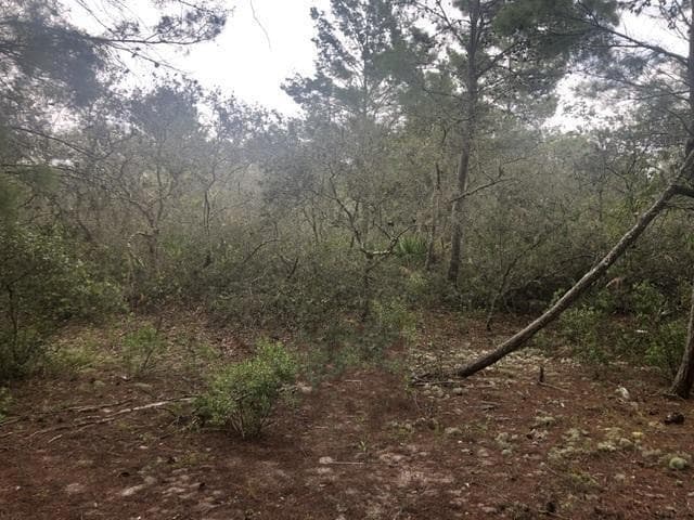 0 Alturas Babson Park Cutoff Road