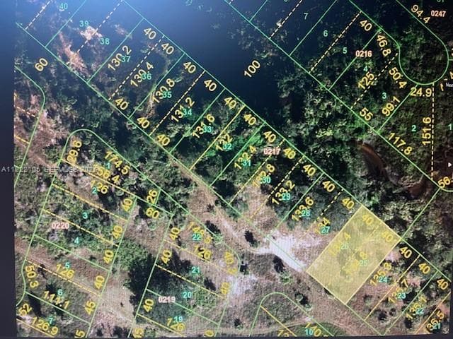 Punta Gorda