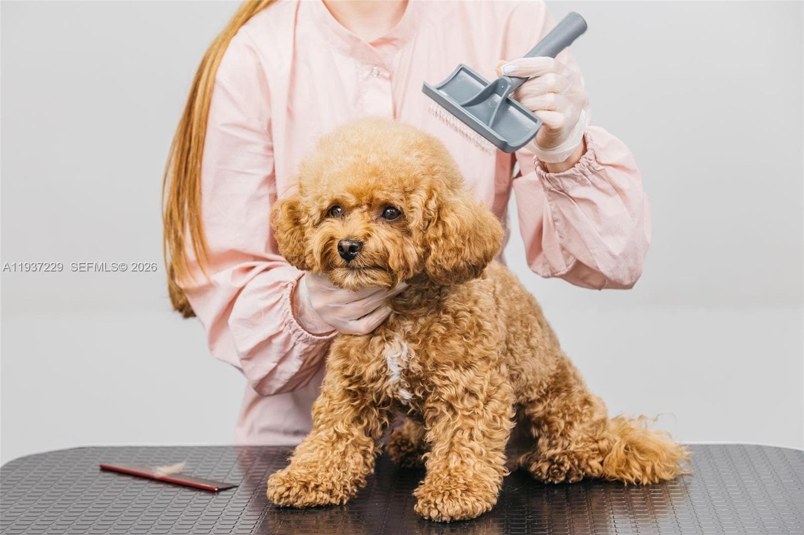 Pet Grooming