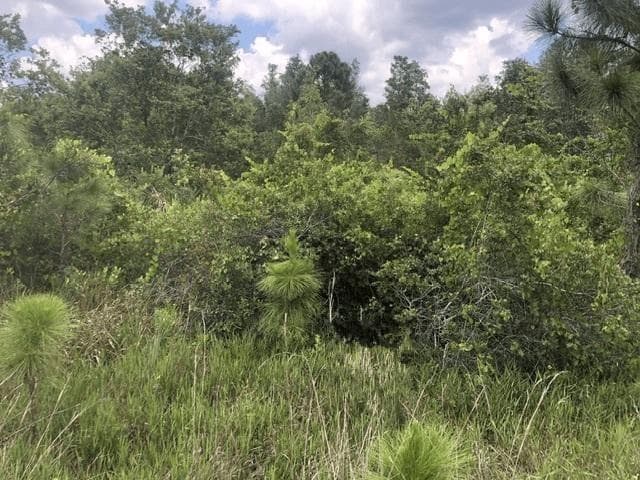 0 Xeriscape Nursery Road
