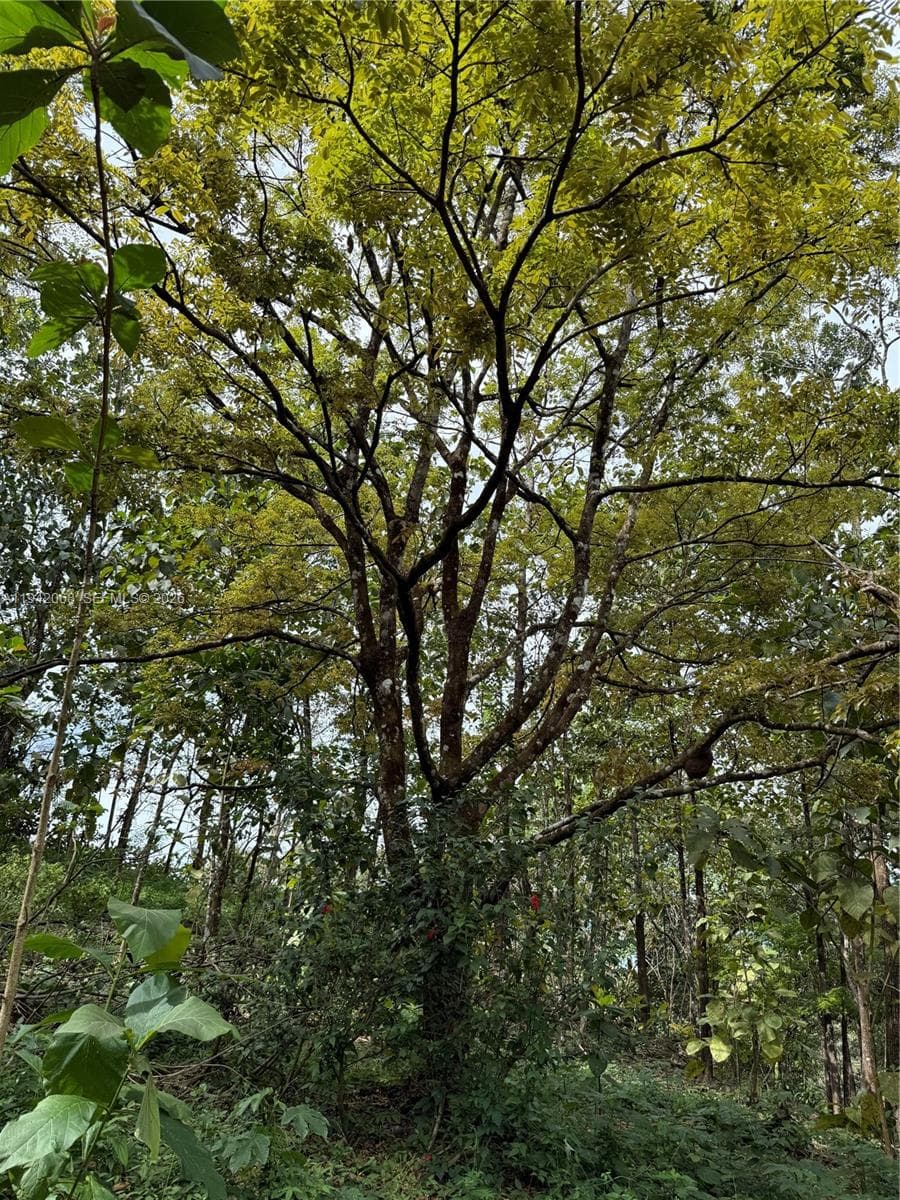 San Ramon, Esparza