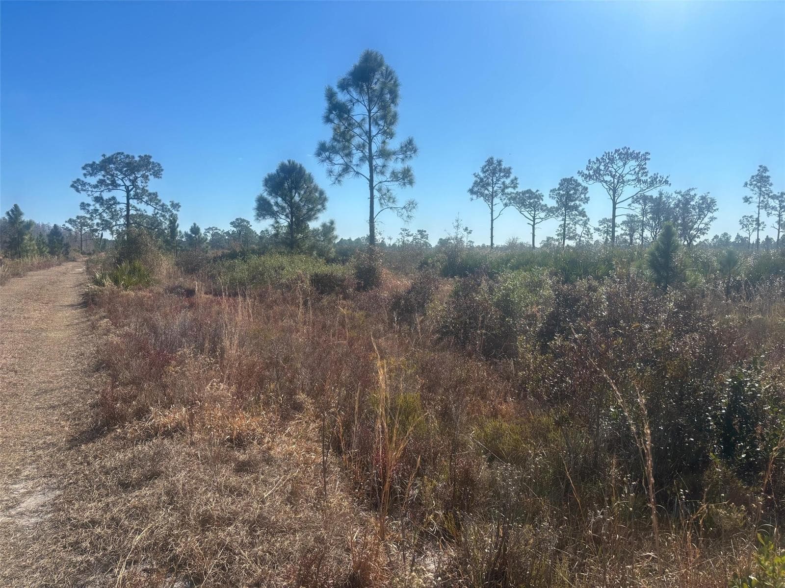 0 Xeriscape Nursery Road