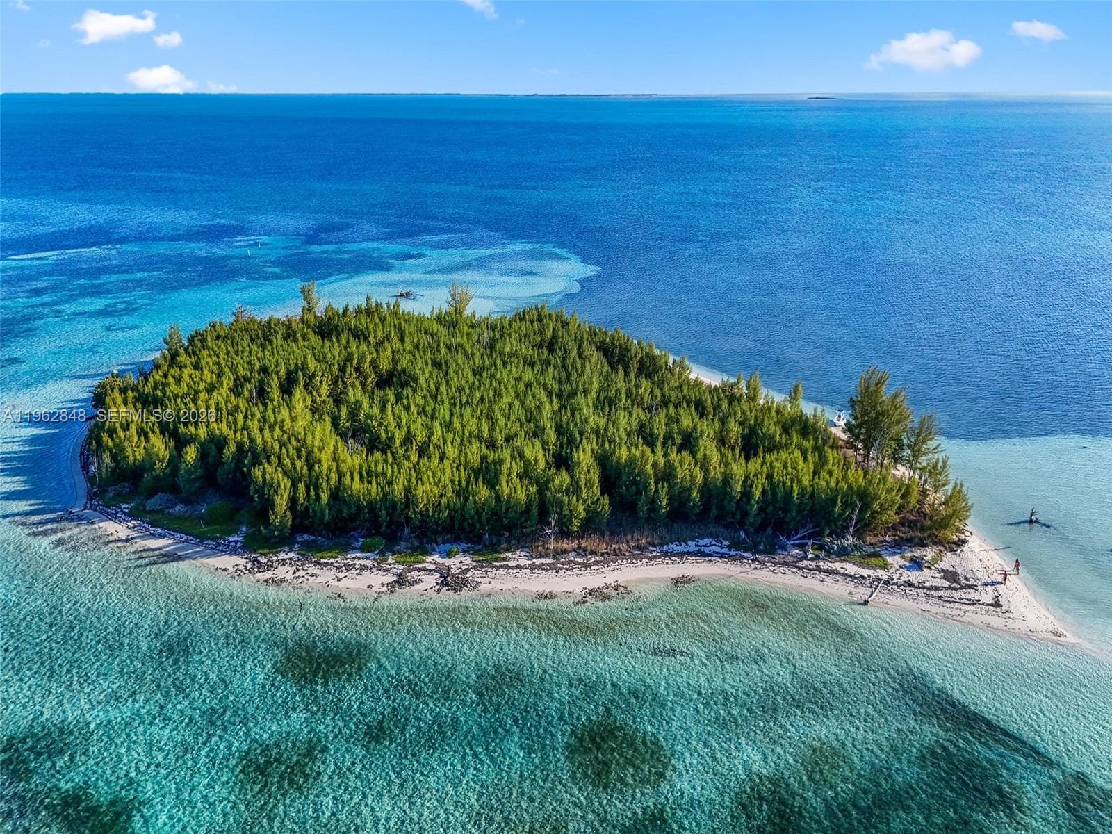 Sandy Cay Bahamas