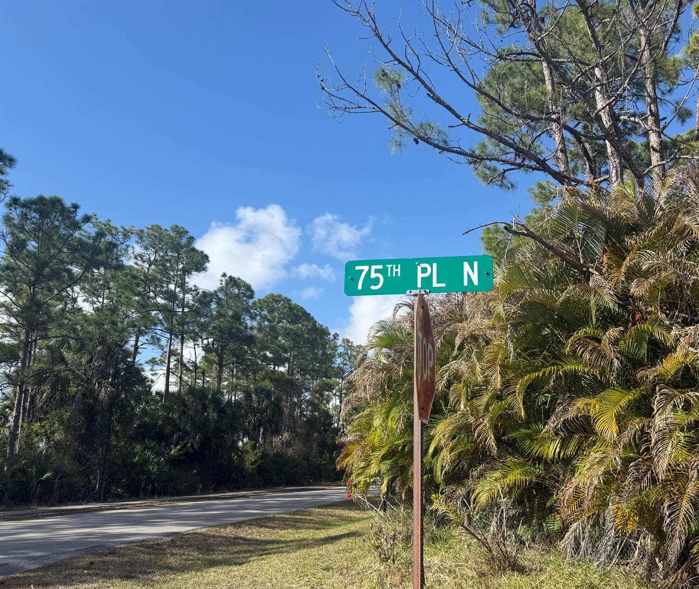 17892 75th Place N