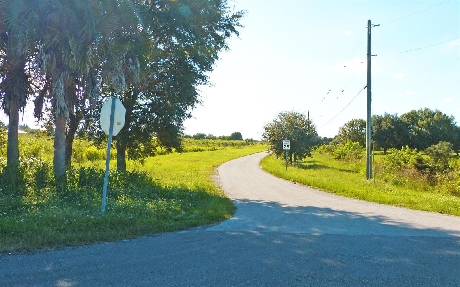 Tbd Pineapple Lane