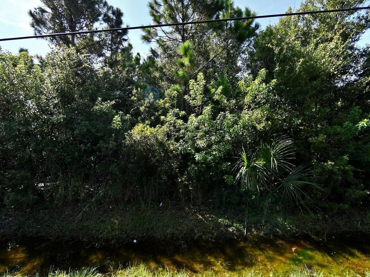 0 Palmetto Drive