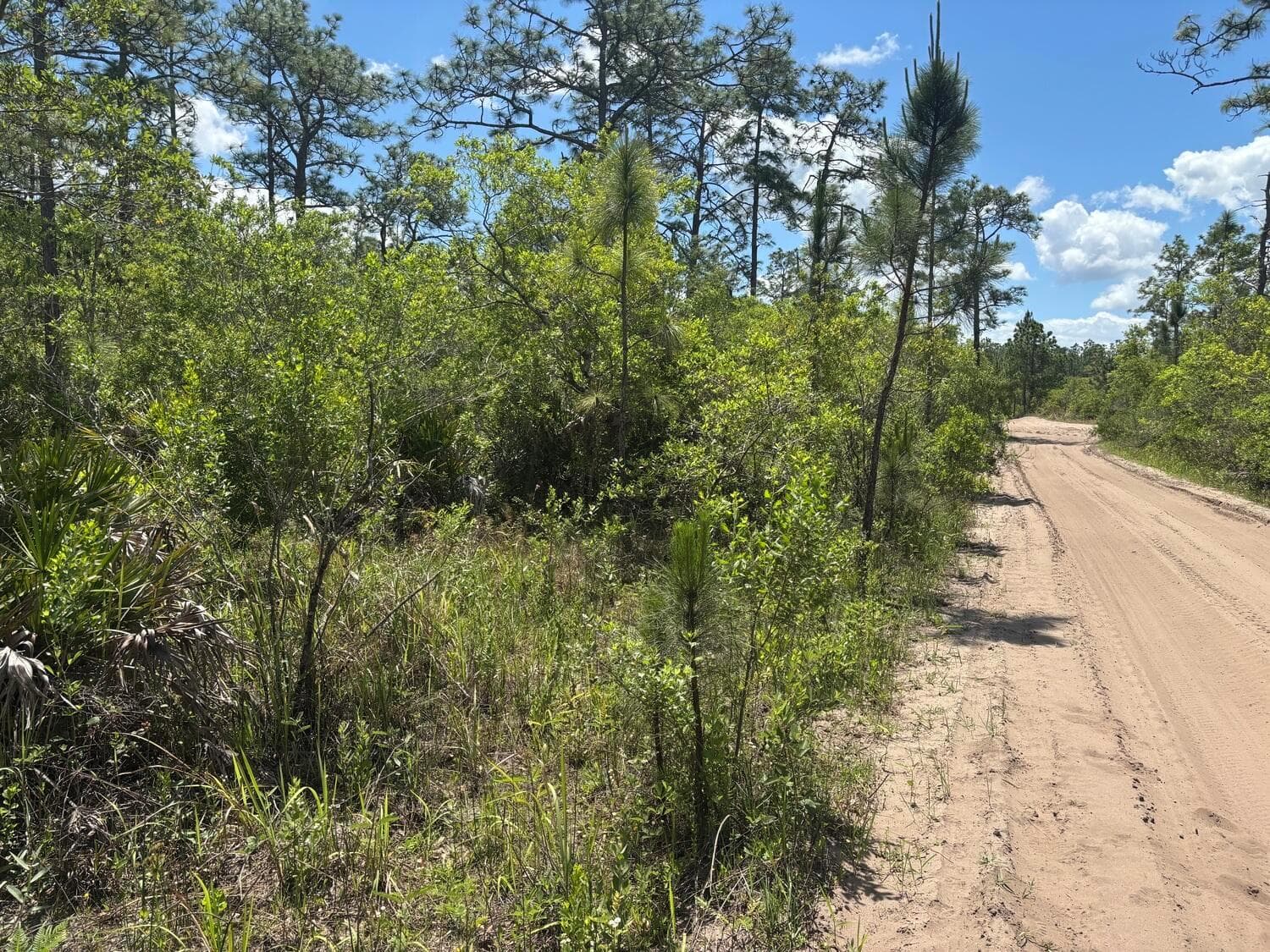0 Holopaw Groves Road