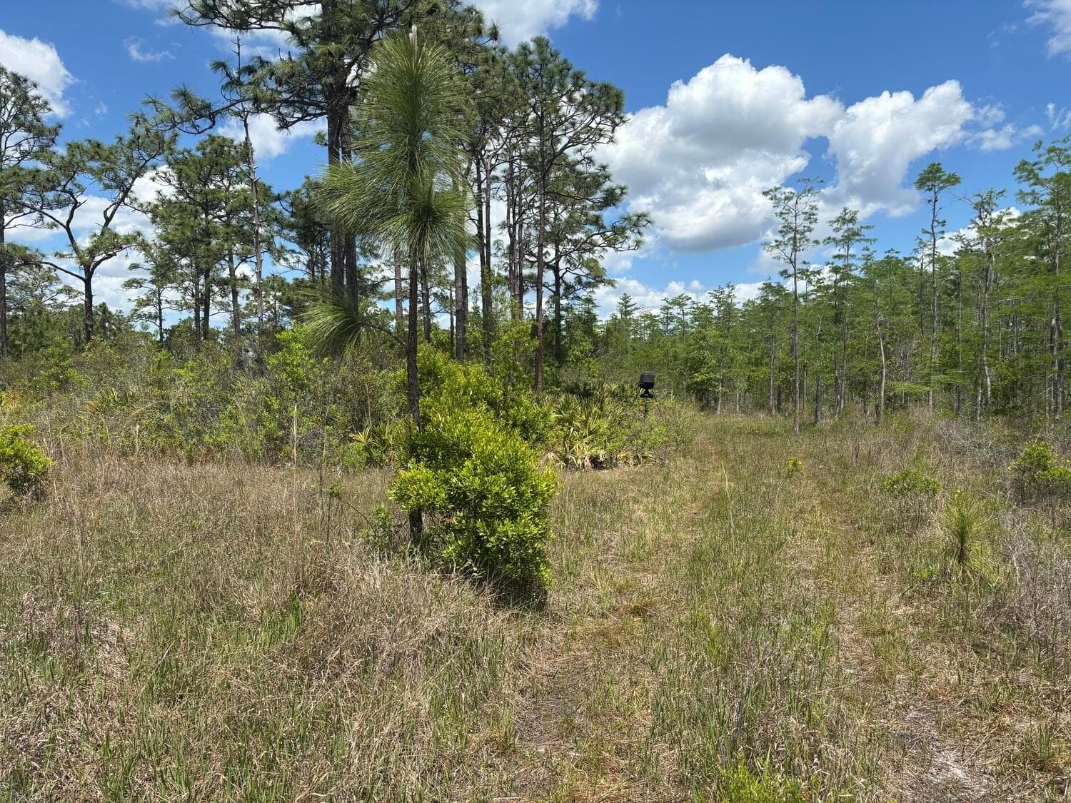 0 Holopaw Groves Road