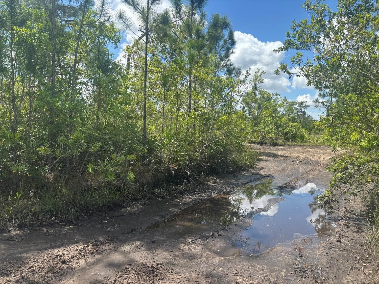 0 Holopaw Groves Road