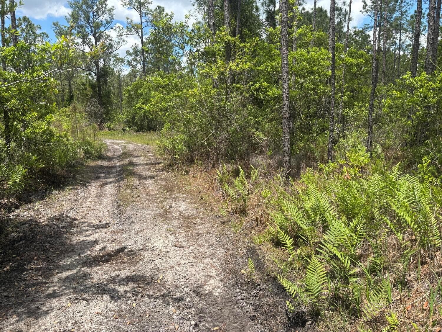 0 Holopaw Groves Road