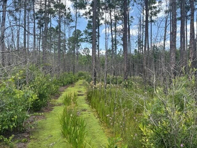 0 Holopaw Groves Road