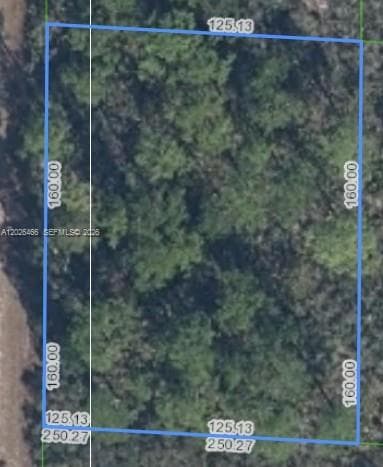 1139 BROOK HOLLOW RD