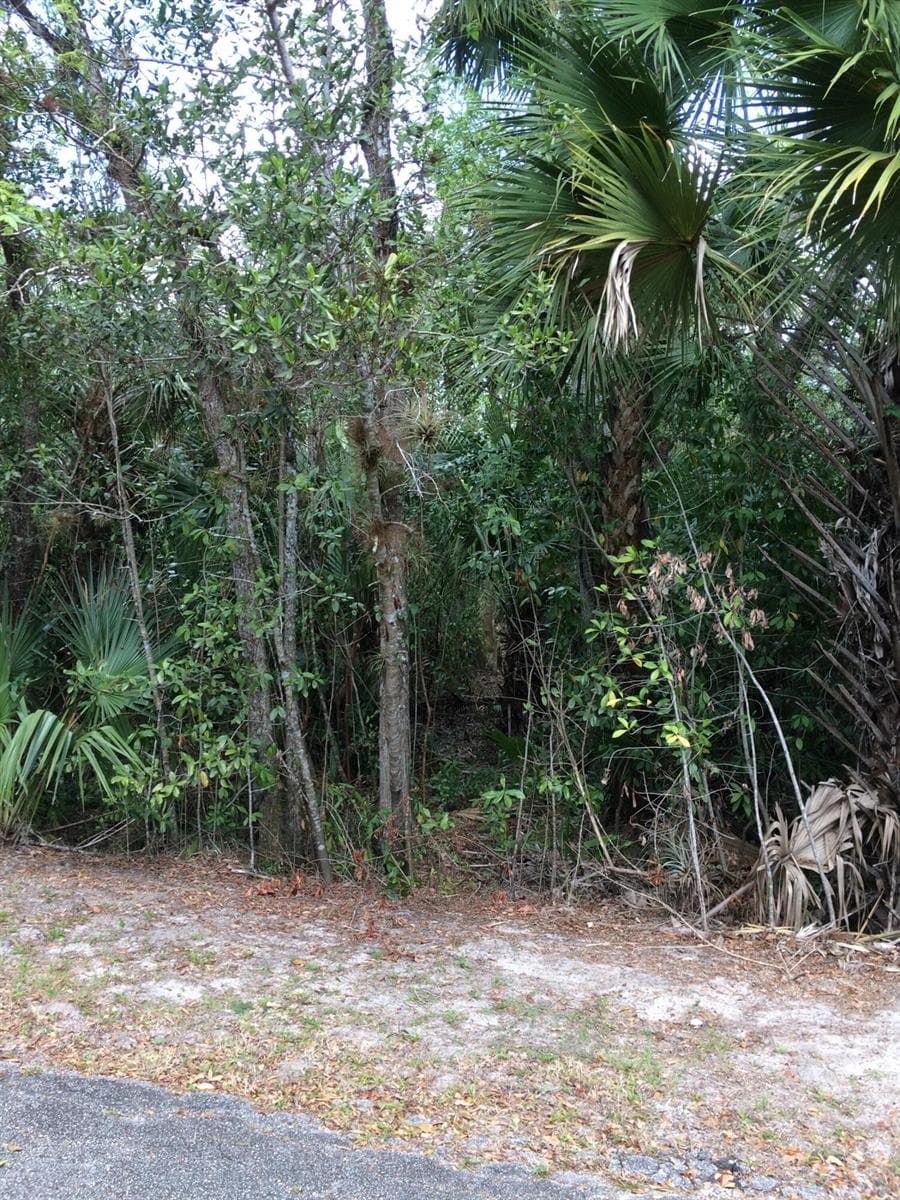 1802 Old River Road