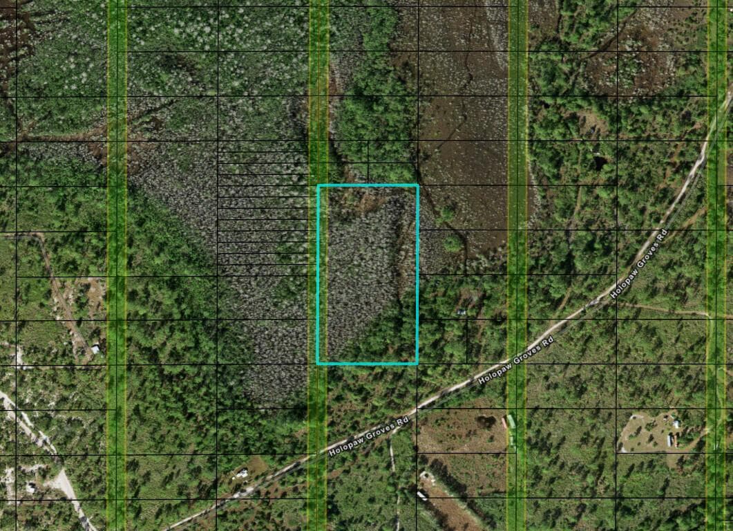 0 Holopaw Groves Road