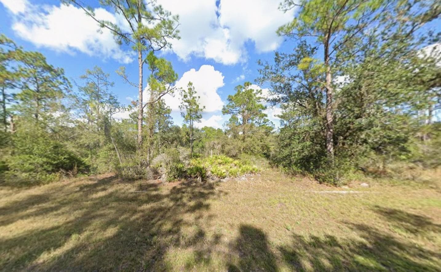 Tbd Plumosa Drive