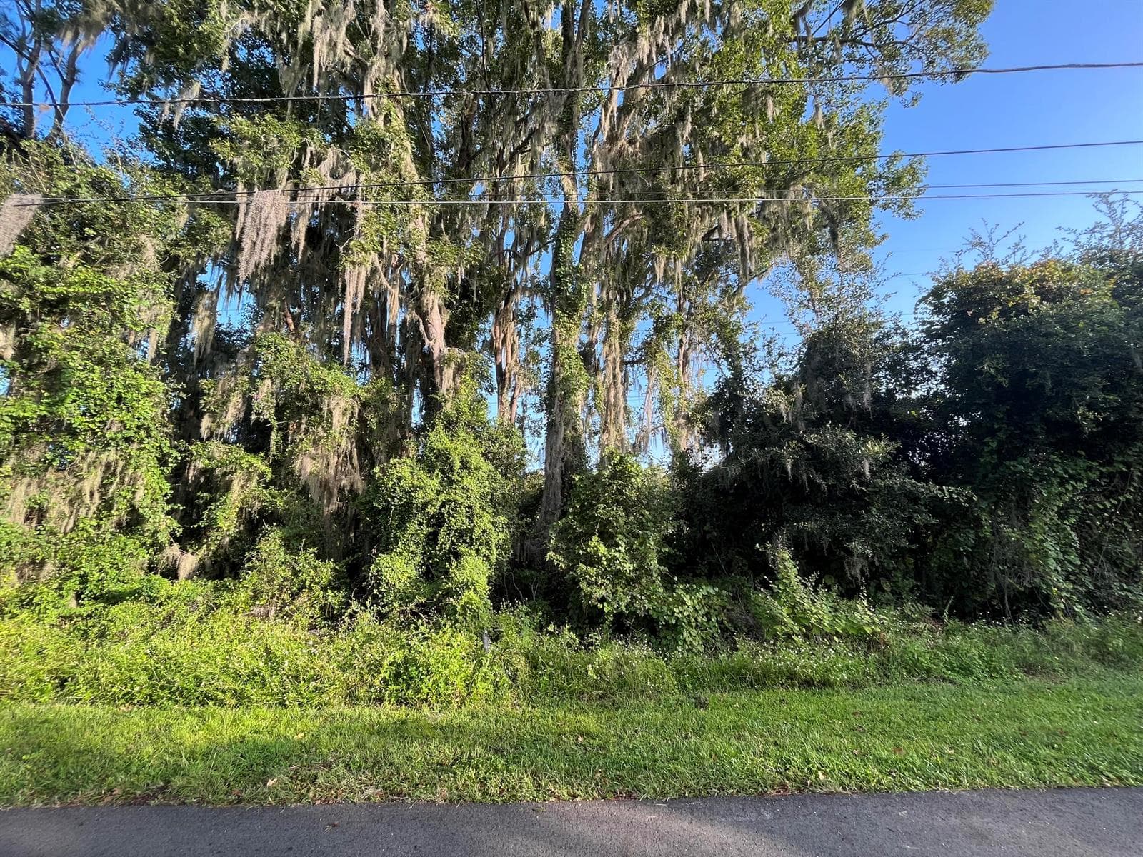 262 Toms Road