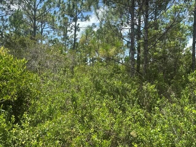 0 Holopaw Groves Road