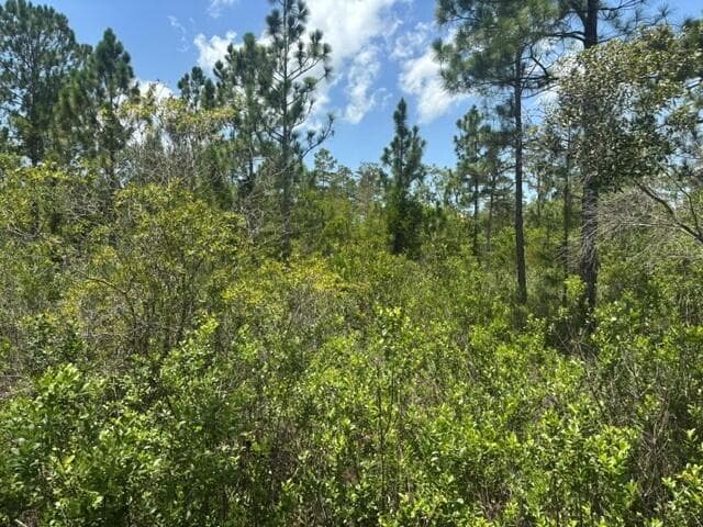 0 Holopaw Groves Road