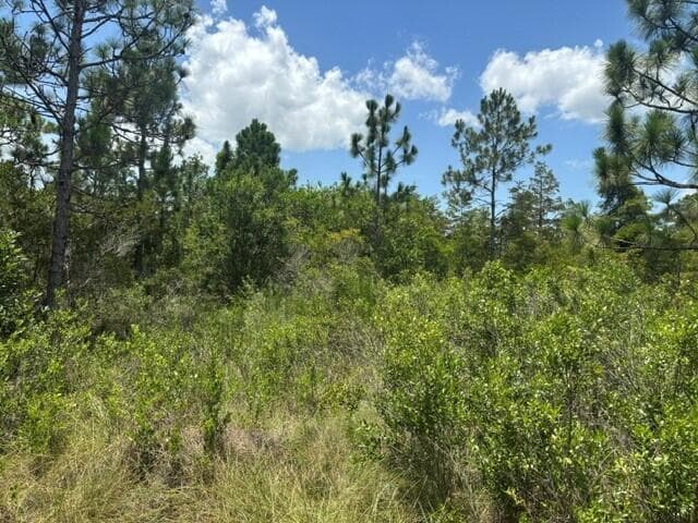 0 Holopaw Groves Road