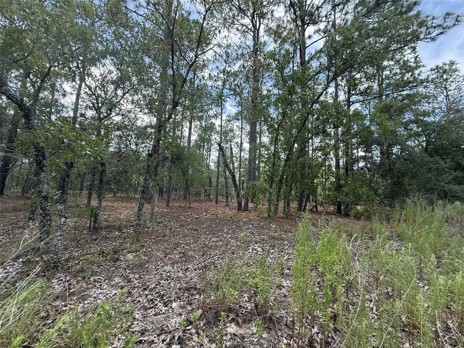 Tbd NW Tree Top Road