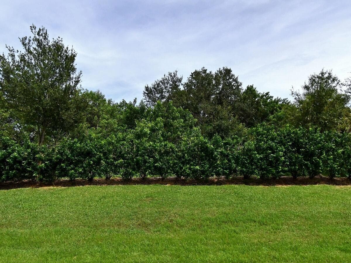 4341 WINDING Place