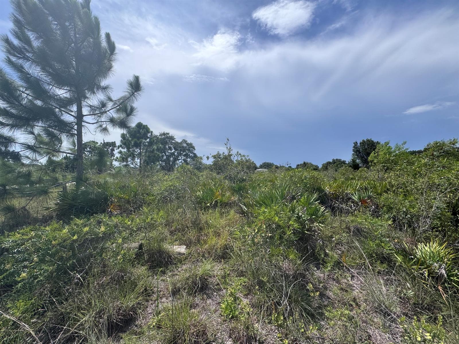 20589 NW 254TH Street