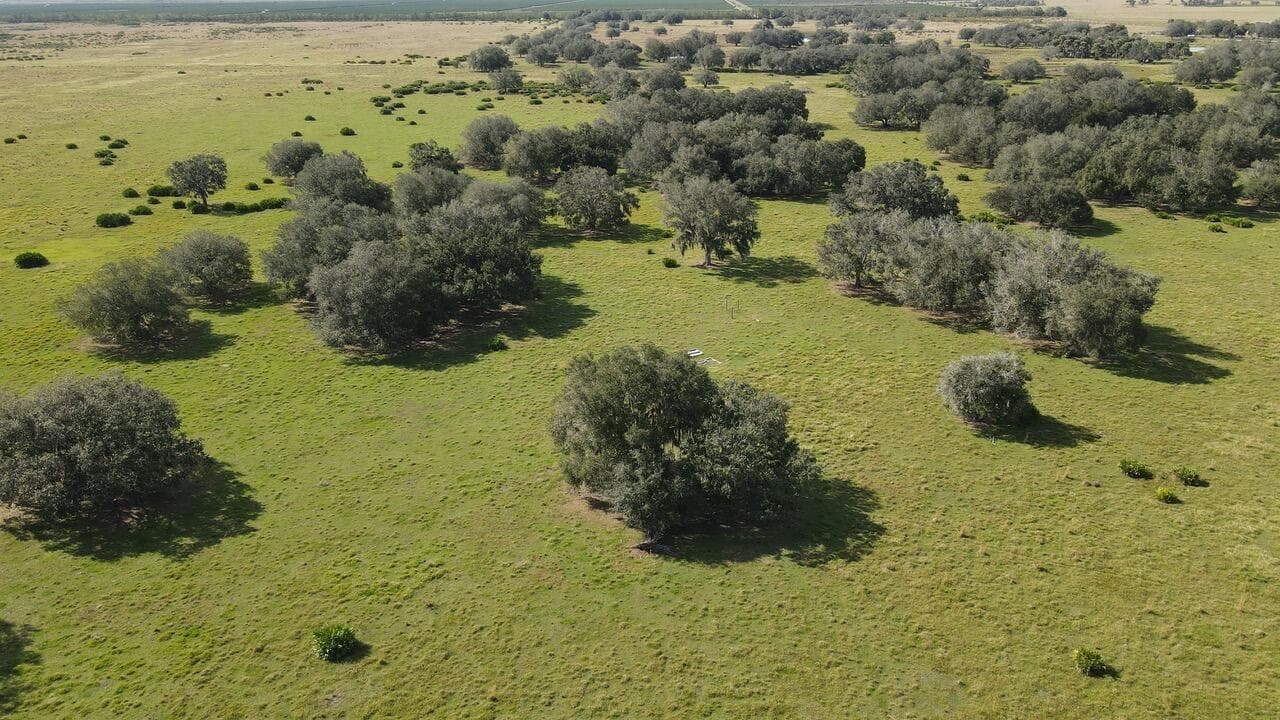 101 PERCHERON Trail