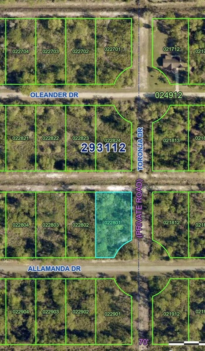 0 ALLAMANDA Drive