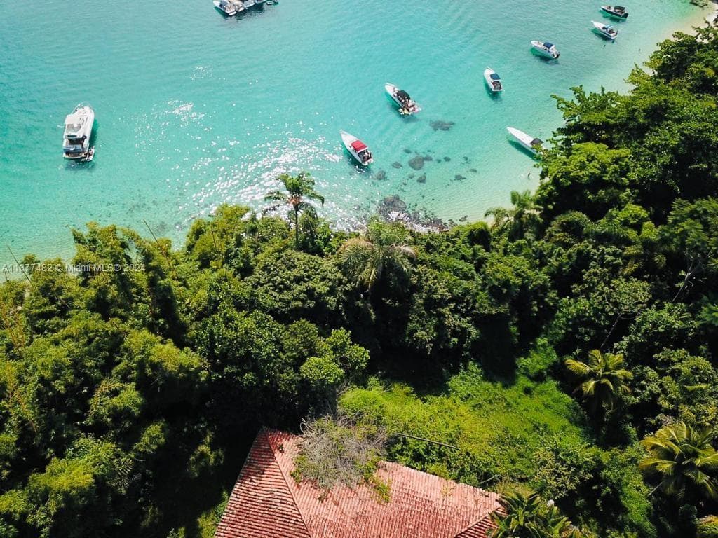 Ilha do Dentista