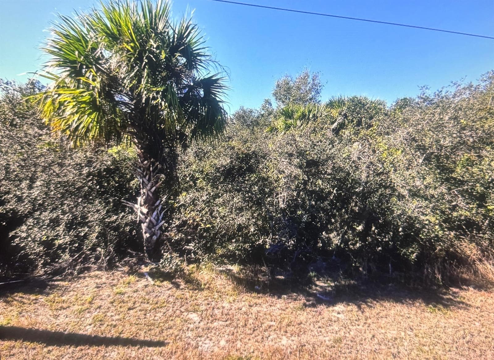 0 Old Dixie N Highway