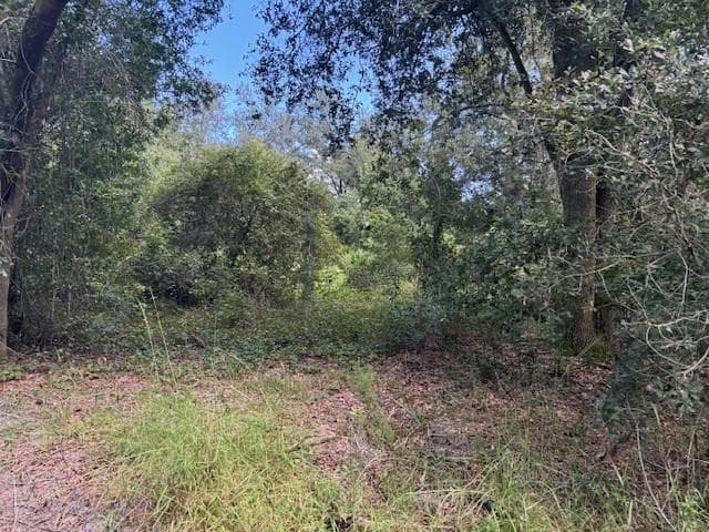 0 County Rd 54