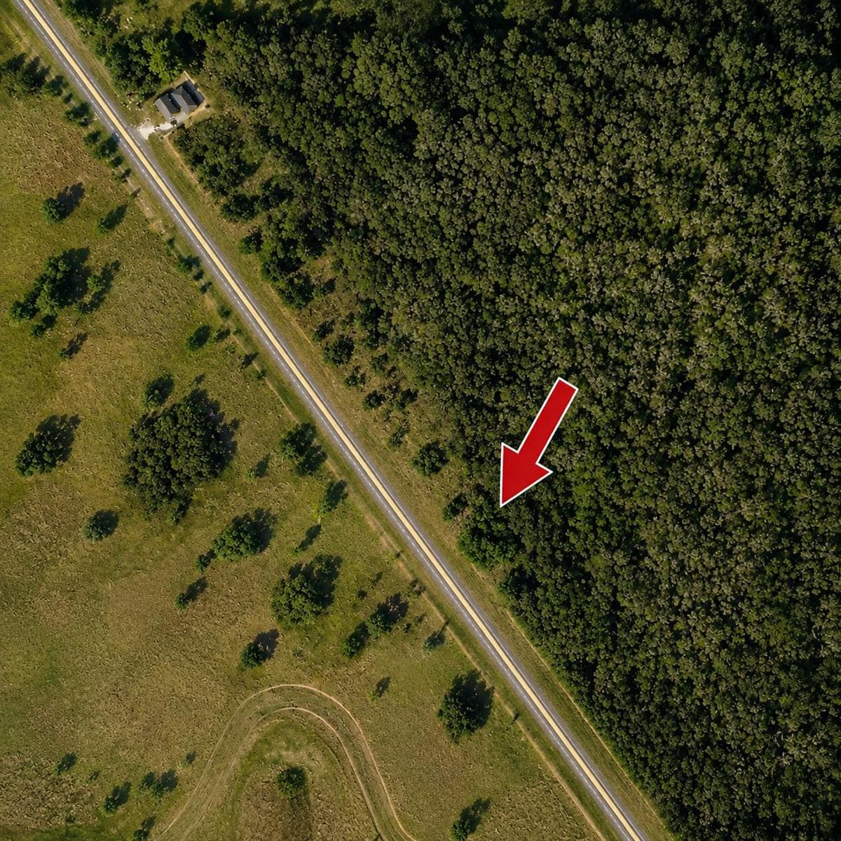 3690 HWY 98